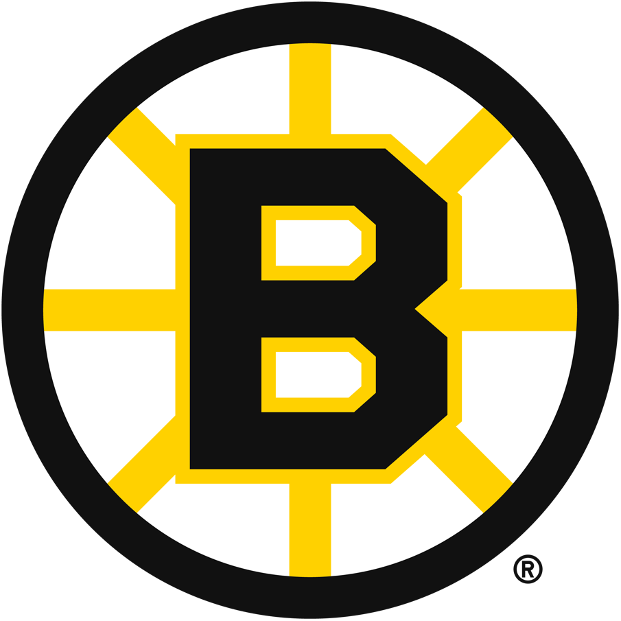 Boston Bruins 1949-1995 Primary Logo t shirts DIY iron ons